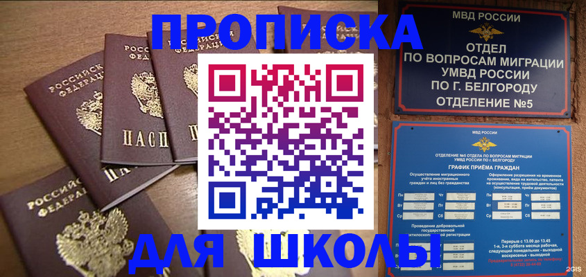 прописка гарантия в Московской области